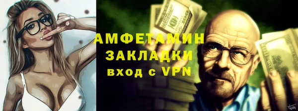 крисы Богородицк
