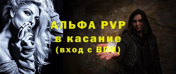 крисы Богородицк