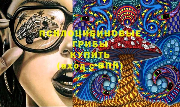 крисы Богородицк