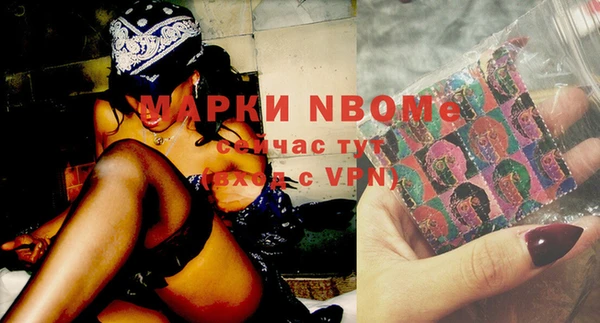 крисы Богородицк