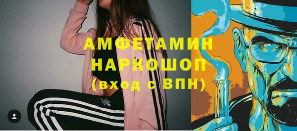 крисы Богородицк
