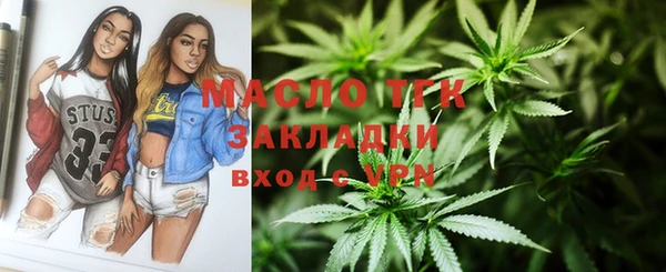 крисы Богородицк