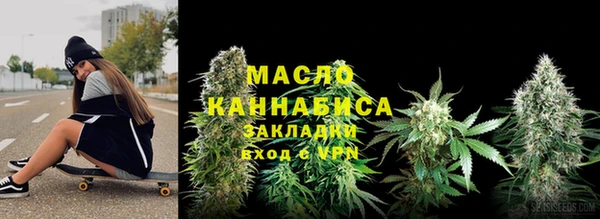крисы Богородицк