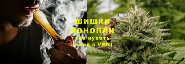 крисы Богородицк